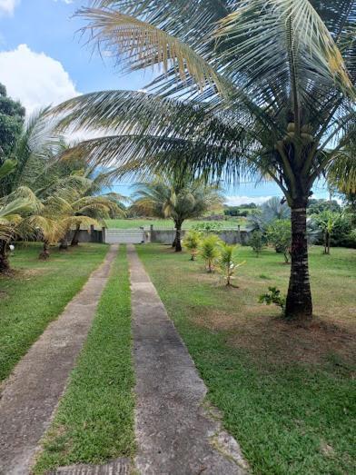 Ti Bijou Villa Baie-Mahault Dış mekan fotoğraf