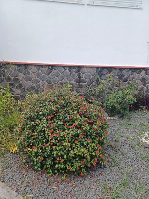 Ti Bijou Villa Baie-Mahault Dış mekan fotoğraf